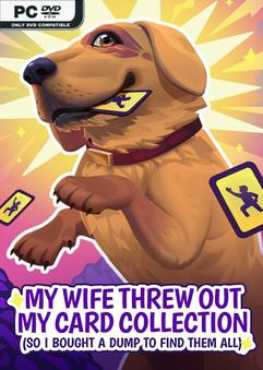 my-wife-threw-out-my-card-collection-viet-hoa