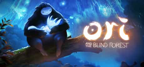 ori-and-the-blind-forest-definitive-edition-viet-hoa