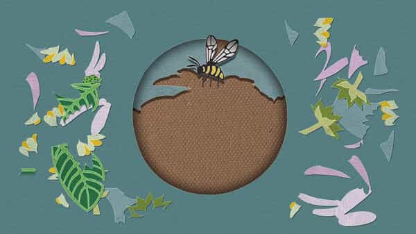 papercut-art-gallery-nature-viet-hoa