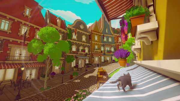 pawbay-cat-chaos-viet-hoa