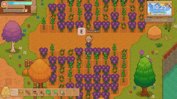 peaceful-days-viet-hoa