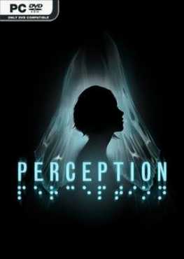 perception