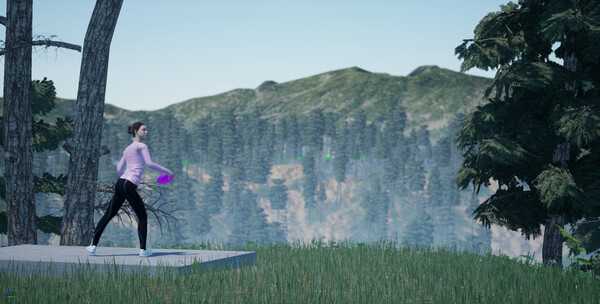 perfect-round-disc-golf