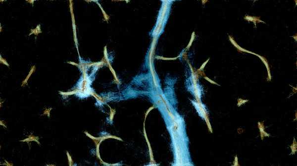 physarum-slime-mold-simulator-viet-hoa