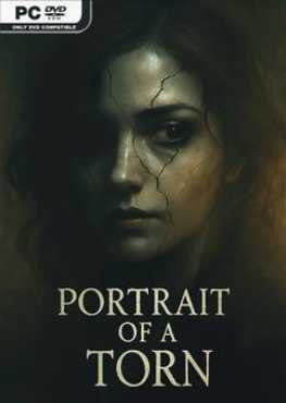 portrait-of-a-torn-viet-hoa