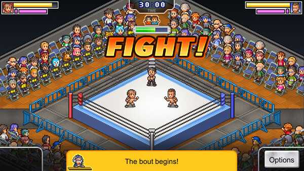 pro-wrestler-story