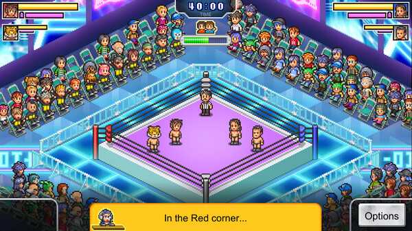 pro-wrestler-story
