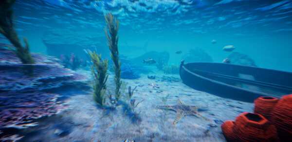 project-castaway-viet-hoa