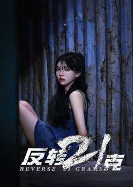 reverse-21-grams-viet-hoa