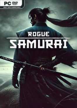 rogue-samurai-viet-hoa