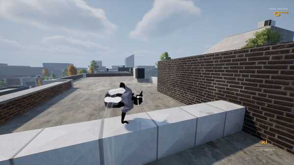 rooftops-alleys-the-parkour-game