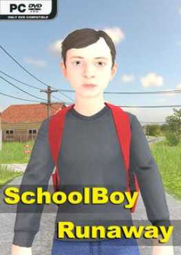 schoolboy-runaway-viet-hoa