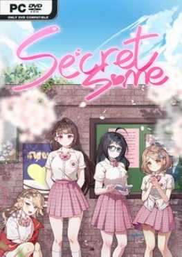 secret-some-viet-hoa