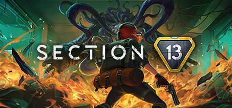 section-13-online-multiplayer