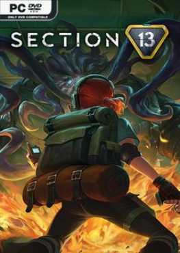 section-13-online-multiplayer