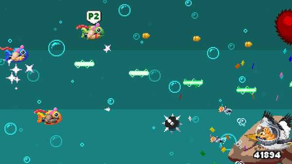 shutshimi