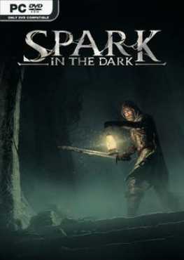 spark-in-the-dark-viet-hoa