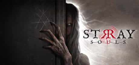 stray-souls-viet-hoa