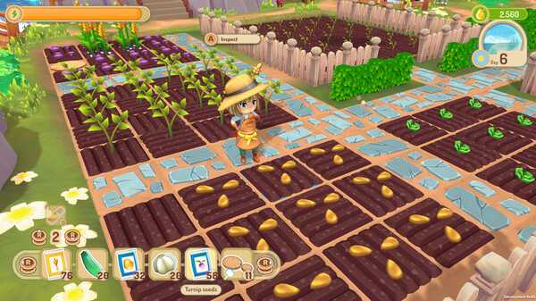 sugardew-island-your-cozy-farm-shop-viet-hoa