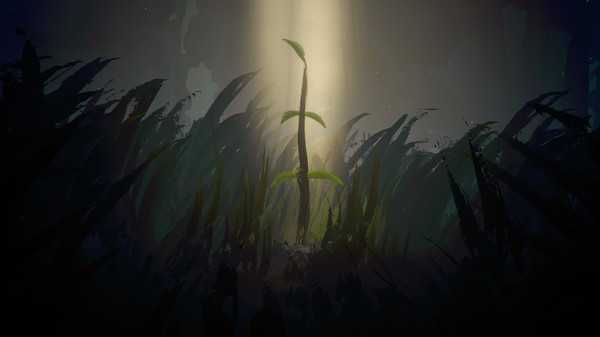 sunlight
