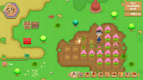 sunrises-order-viet-hoa