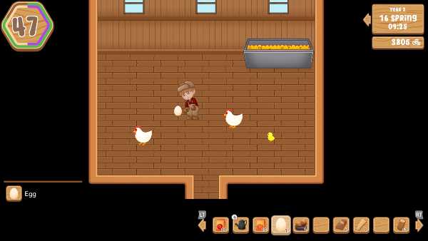 sunrises-order-viet-hoa