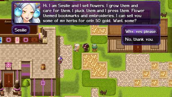 the-black-knight-chronicles-the-widow-without-time