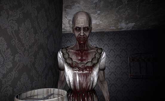 the-maid