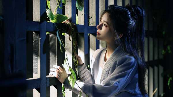 the-three-kingdoms-rebirth-viet-hoa