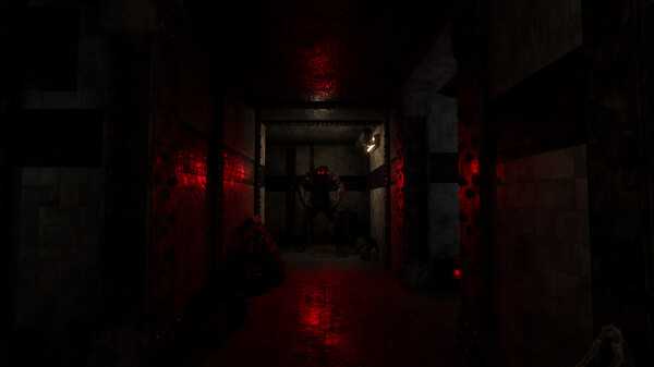 the-wallway