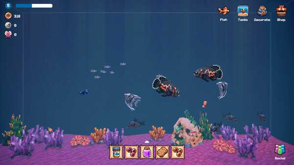 tiny-aquarium-social-fishkeeping