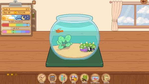 tiny-glass-tank-dwarf-shrimp-and-friends