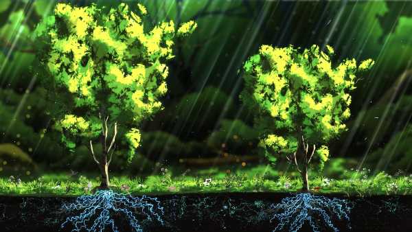 treeplanter-plant-real-trees