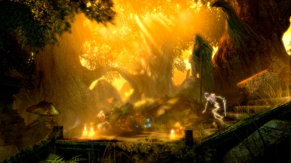 trine-enchanted-edition-viet-hoa-online-multiplayer