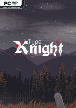 type-knight-build-12878977