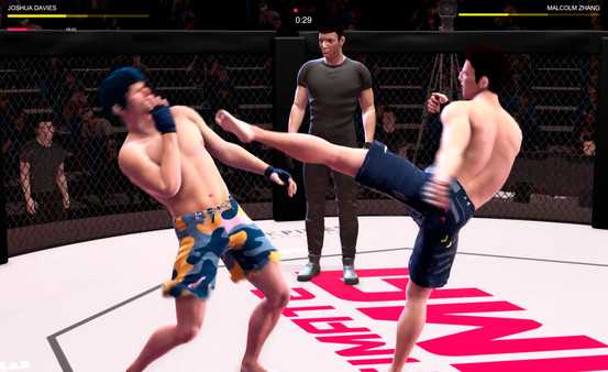ultimate-mma-v4738293