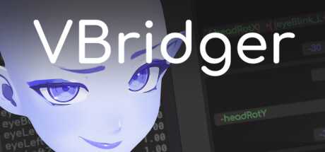 vbridger-viet-hoa
