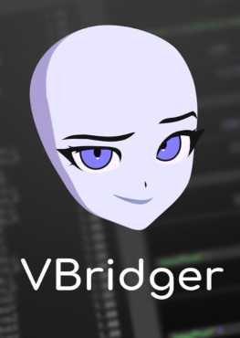 vbridger-viet-hoa