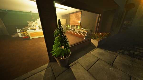 weed-shop-4-highland