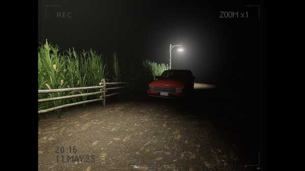 what-happened-to-lily-viet-hoa