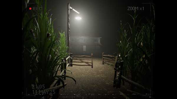 what-happened-to-lily-viet-hoa