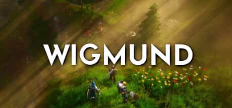 wigmund-v141-viet-hoa