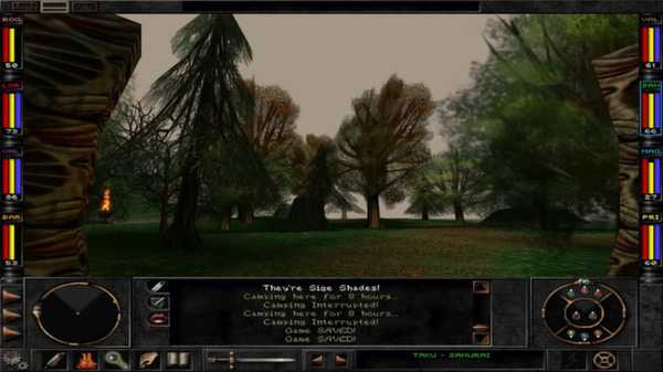 wizardry-8