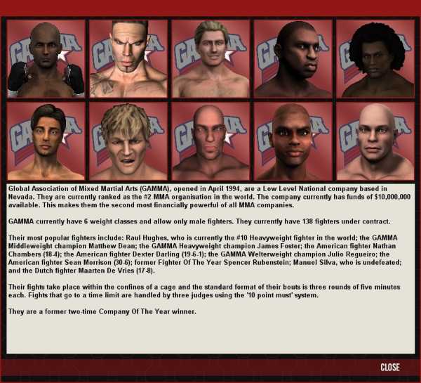 world-of-mixed-martial-arts-5