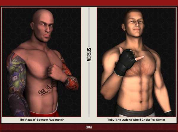 world-of-mixed-martial-arts-5