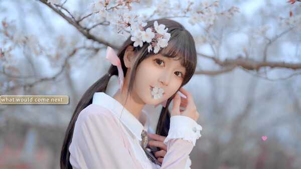 yixin-viet-hoa
