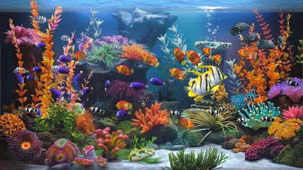 zen-aquarium
